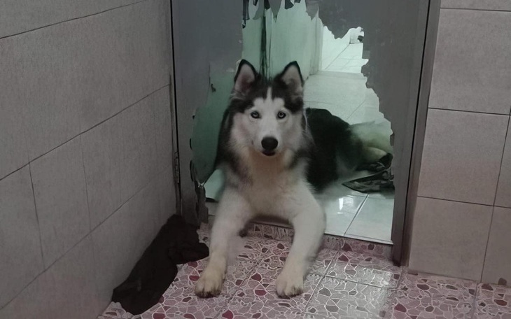 Ảnh vui 10-6: Người thành công luôn có lối đi riêng