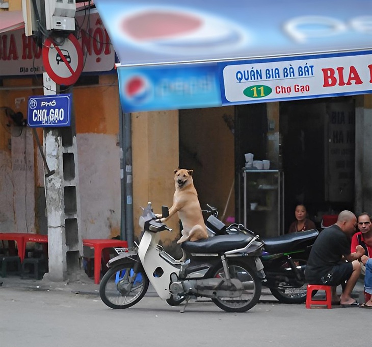 Ảnh vui 11-6: Người tinh ý nhìn phát hiểu ngay vấn đề - Ảnh 2.