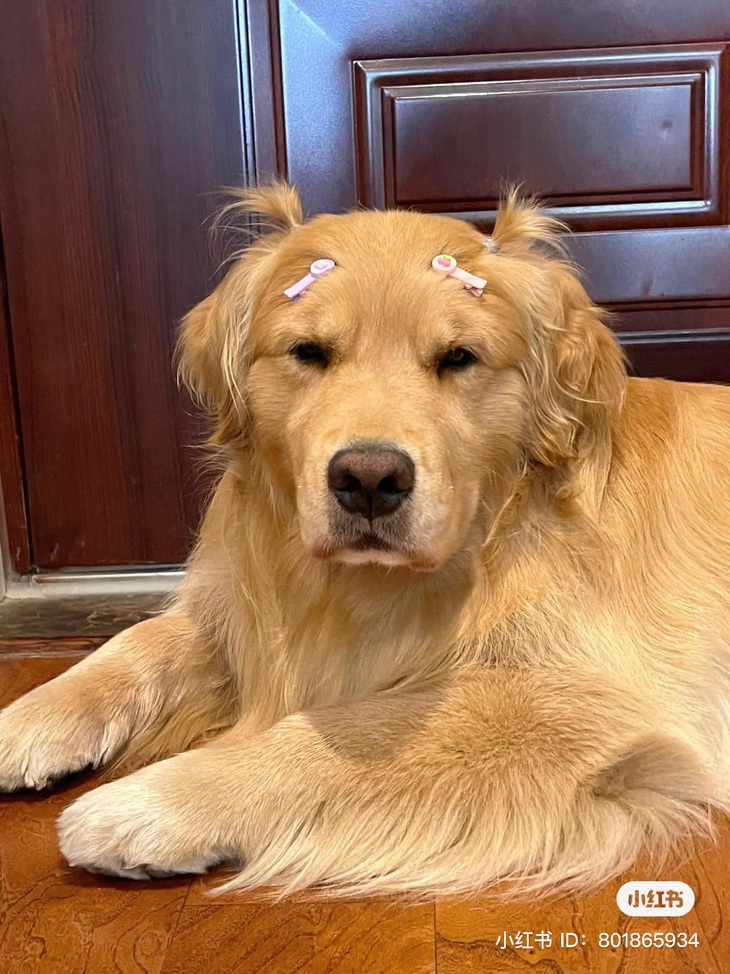 Ảnh vui 11-6: Người tinh ý nhìn phát hiểu ngay vấn đề - Ảnh 4.