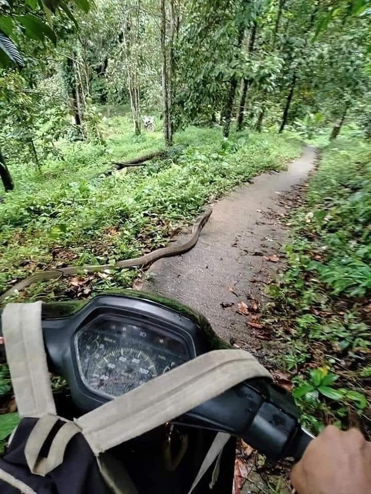 Ảnh vui 15-6: Đỗ xe kiểu người thành công - Ảnh 3.