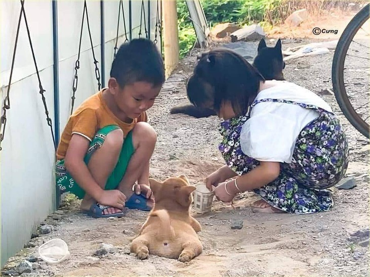 Ảnh vui 15-6: Đỗ xe kiểu người thành công - Ảnh 2.