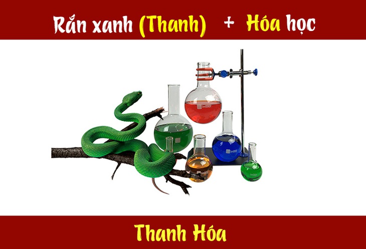 IQ cao có đoán được đây là tỉnh thành nào nước ta? (P24) - Ảnh 3.