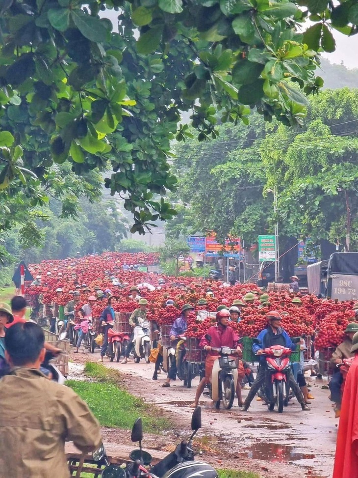 Ảnh vui 17-6: Anh Tây diện áo xe ôm công nghệ để đu trend? - Ảnh 3.