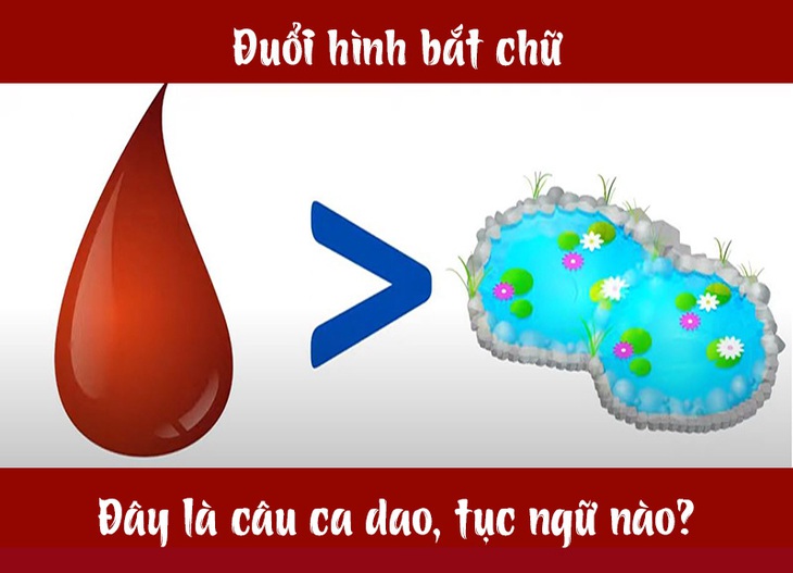 Câu ca dao, tục ngữ hóc búa này là gì? (P5) - Ảnh 7.