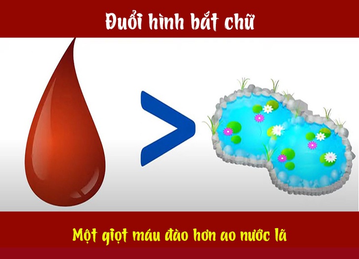 Câu ca dao, tục ngữ hóc búa này là gì? (P5) - Ảnh 9.