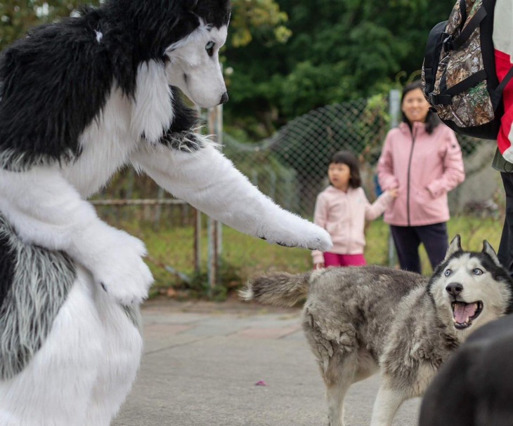 Nhìn "ngoại thất" của ông cố nội cũng đáng tin lắm đó.