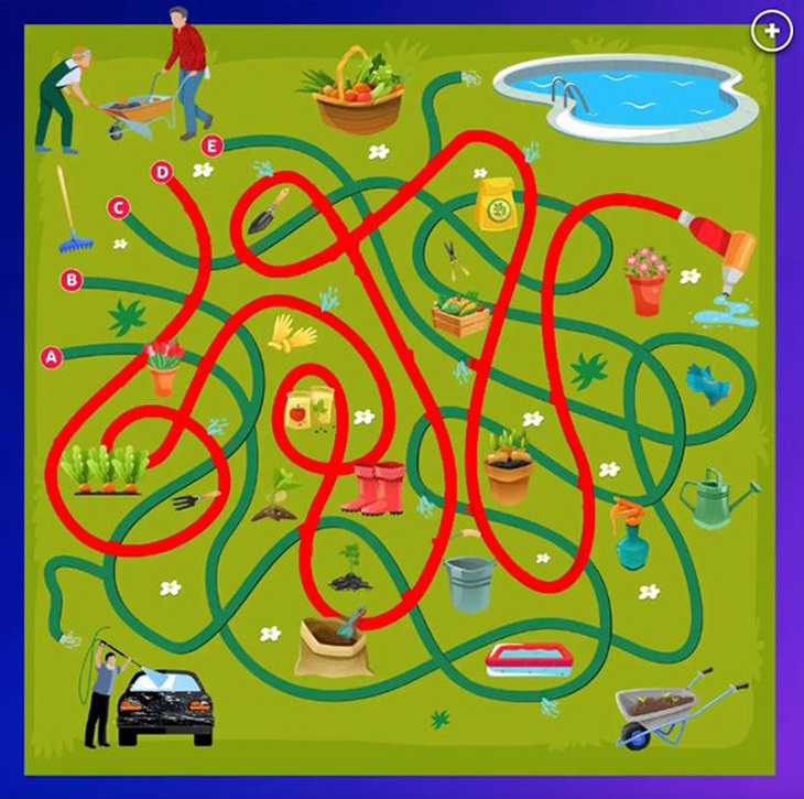 Người IQ cao có giải được câu đố hóc búa này trong 10 giây - Ảnh 3.