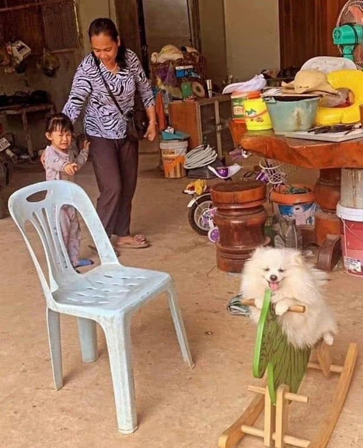 Ảnh vui 3-6: Đời thầy giáo không dễ nuốt như quý vị nghĩ - Ảnh 3.