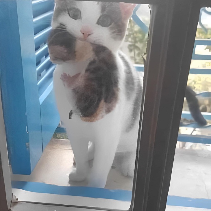 Ảnh vui 3-6: Đời thầy giáo không dễ nuốt như quý vị nghĩ - Ảnh 6.