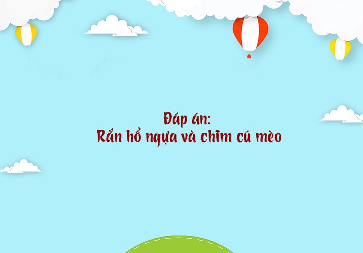 Câu đố hack não: Con gái thích gì nhất ở con trai? - Ảnh 9.