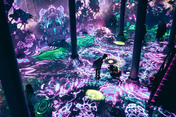 Triển lãm "Geometric Properties" của Julius Horsthuis. Ảnh: ARTECHOUSE