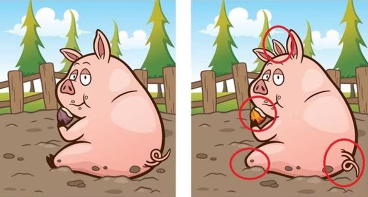 Chỉ mắt thần mới thấy được con dê ẩn nấp ở đâu - Ảnh 9.