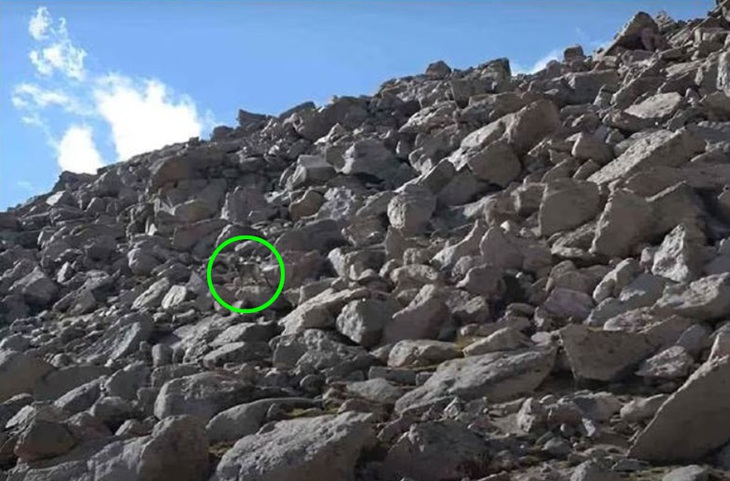 Chỉ mắt thần mới thấy được con dê ẩn nấp ở đâu - Ảnh 3.