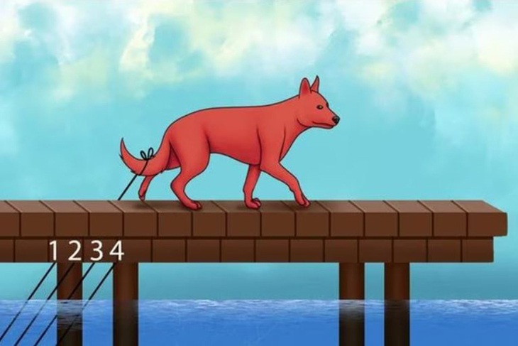 Chỉ mắt thần mới thấy được con dê ẩn nấp ở đâu - Ảnh 4.