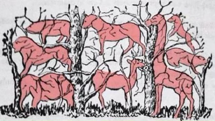 Người mắt kém không thể nhìn thấy đủ 8 con vật trong hình - Ảnh 3.