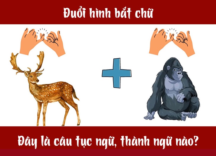 Câu tục ngữ, thành ngữ 'khó nhằn' này là gì? (P30) - Ảnh 1.