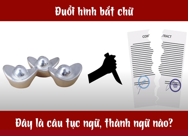 Câu tục ngữ, thành ngữ khó nhằn này là gì? (P31) - Ảnh 7.