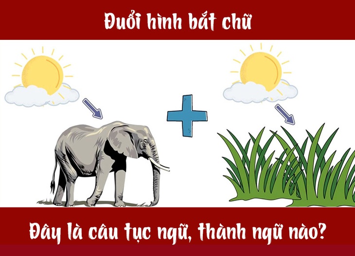 Câu tục ngữ, thành ngữ 'khó nhằn' này là gì? (P30) - Ảnh 4.