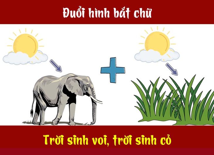 Câu tục ngữ, thành ngữ 'khó nhằn' này là gì? (P30) - Ảnh 1.
