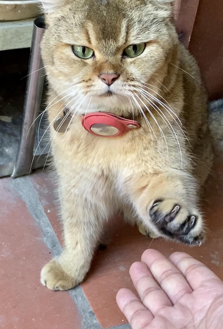 Ảnh vui 1-7: Đẻ con gái cho thùy mị nết na - Ảnh 3.