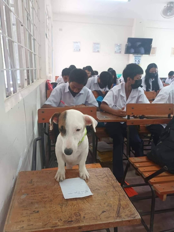 Ảnh vui 1-7: Đẻ con gái cho thùy mị nết na - Ảnh 2.