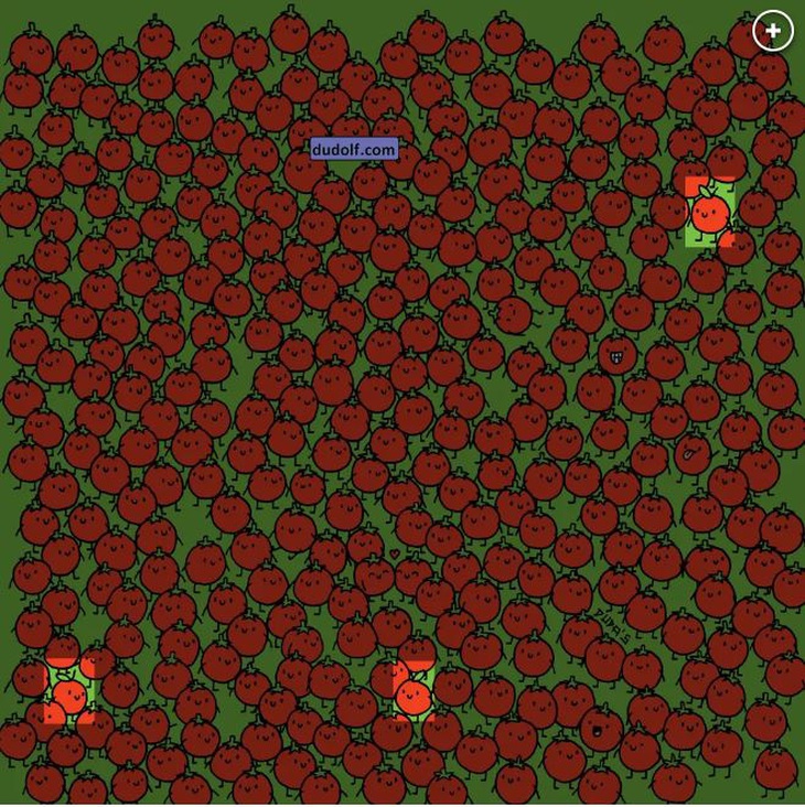 Người tinh mắt mới thấy 5 con bướm ẩn nấp giữa vườn hoa - Ảnh 6.