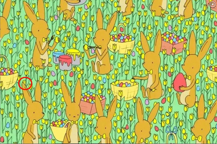 Thử thách hóc búa: Gà con lẩn trốn ở đâu? - Ảnh 3.