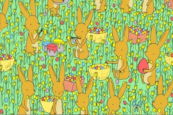 Thử thách hóc búa: Gà con lẩn trốn ở đâu? - Ảnh 1.