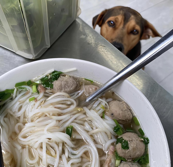 Ánh mắt ấy khiến tôi không cầm lòng được.