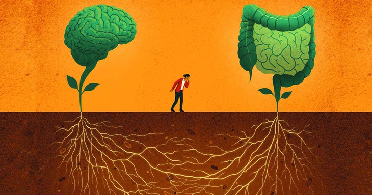 Minh họa: Davide Bonazzi/Hopskin Bloomberg Public Health