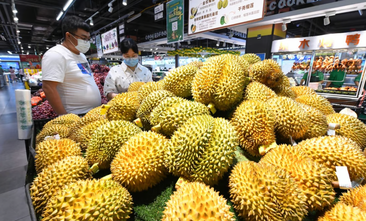 Sầu riêng trở thành thứ để dân đất nước tỉ dân "flex" chơi.