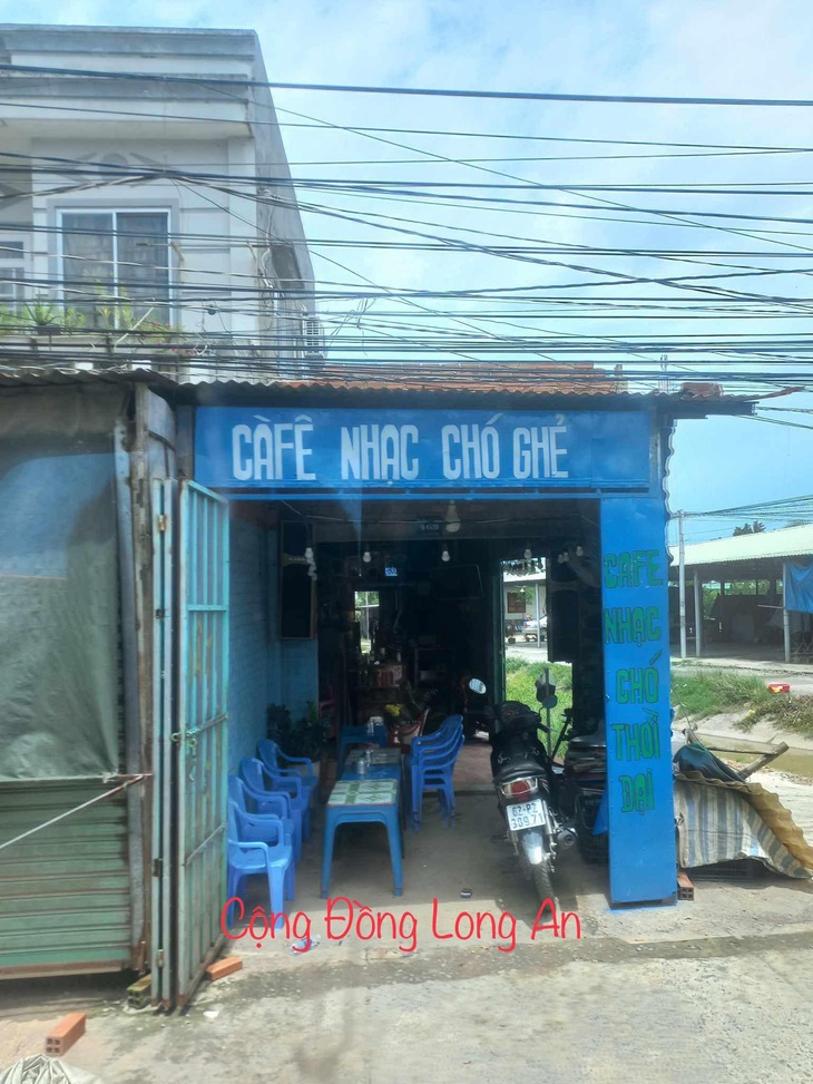 "Nhạc chó thời đại" chắc kiểu... gâu gâu gâu.