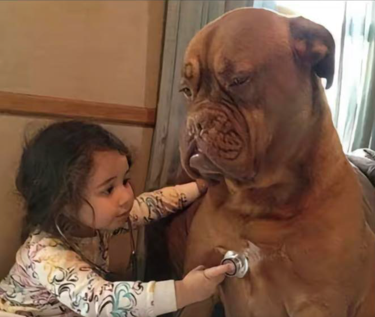 Ảnh vui 2-7: Một fan Taylor Swift trốn làm đi đu idol ở Singapore - Ảnh 5.