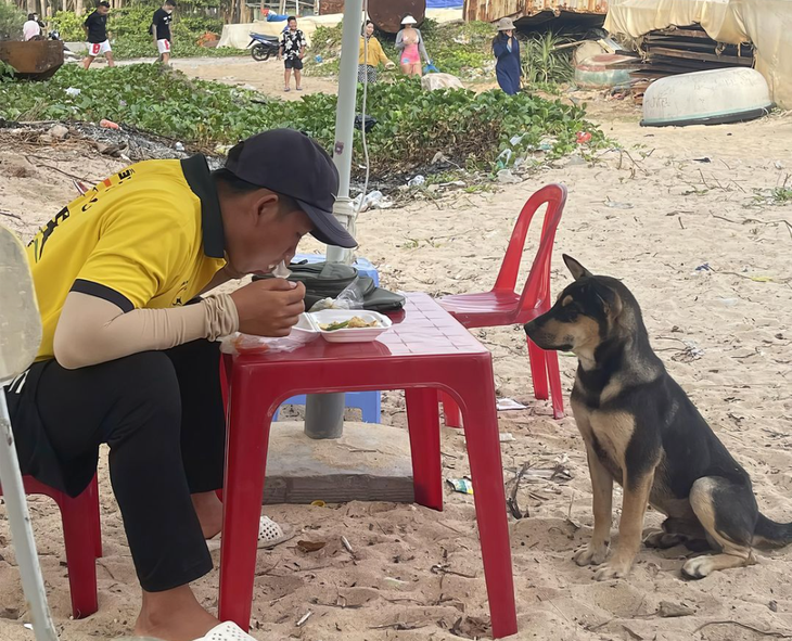 Ảnh vui 2-7: Một fan Taylor Swift trốn làm đi đu idol ở Singapore - Ảnh 4.