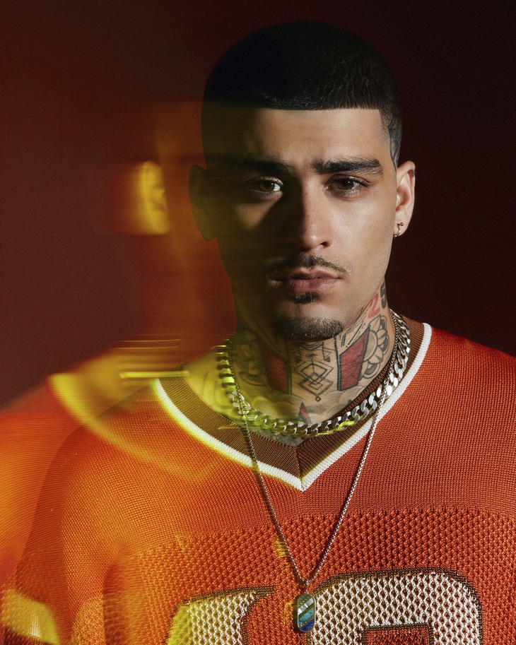 Ngoài những dự án âm nhạc, ZAYN còn góp giọng cho bộ phim hoạt hình "10 Lives" cùng với Simone Ashley