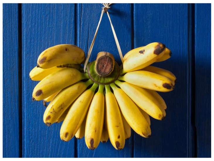 Chuối - Người khổng lồ khiêm tốn sau vườn nhà - Ảnh 2.