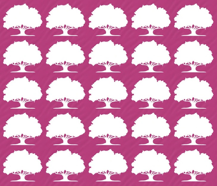 Thử tài tinh mắt: Con rắn đang ngụy trang săn mồi ở đâu? - Ảnh 7.