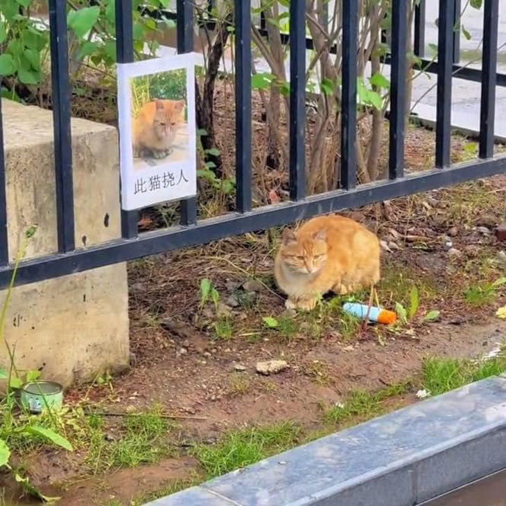 Tao đứng đây rồi, kêu sen đến đón về giùm đi.