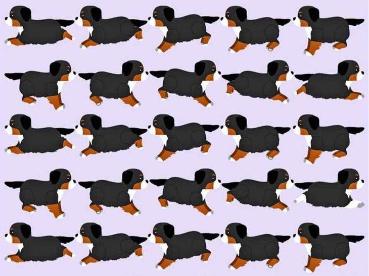 Thử tài tinh mắt: Bạn có thấy 7 con vật trong tranh? - Ảnh 11.