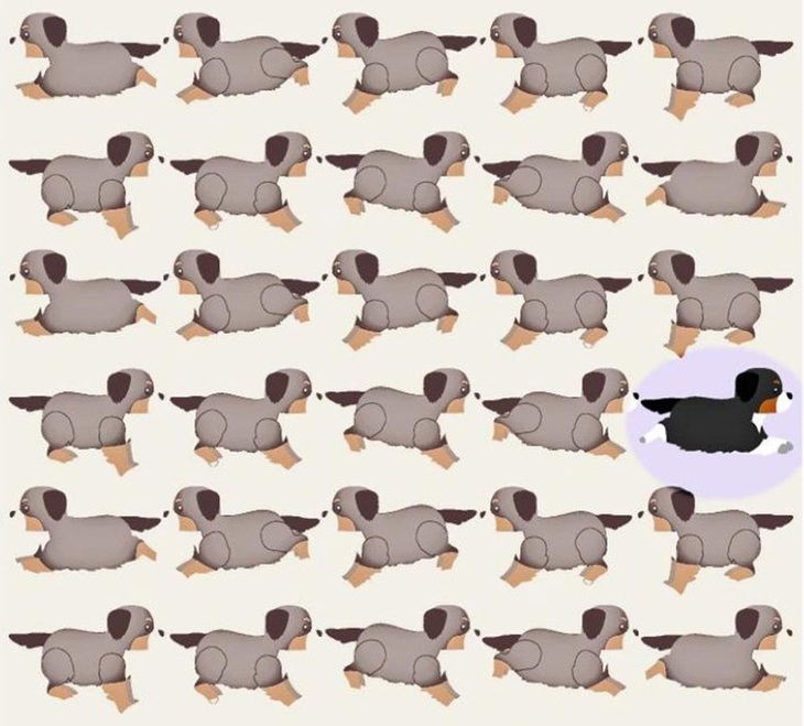 Thử tài tinh mắt: Bạn có thấy 7 con vật trong tranh? - Ảnh 1.