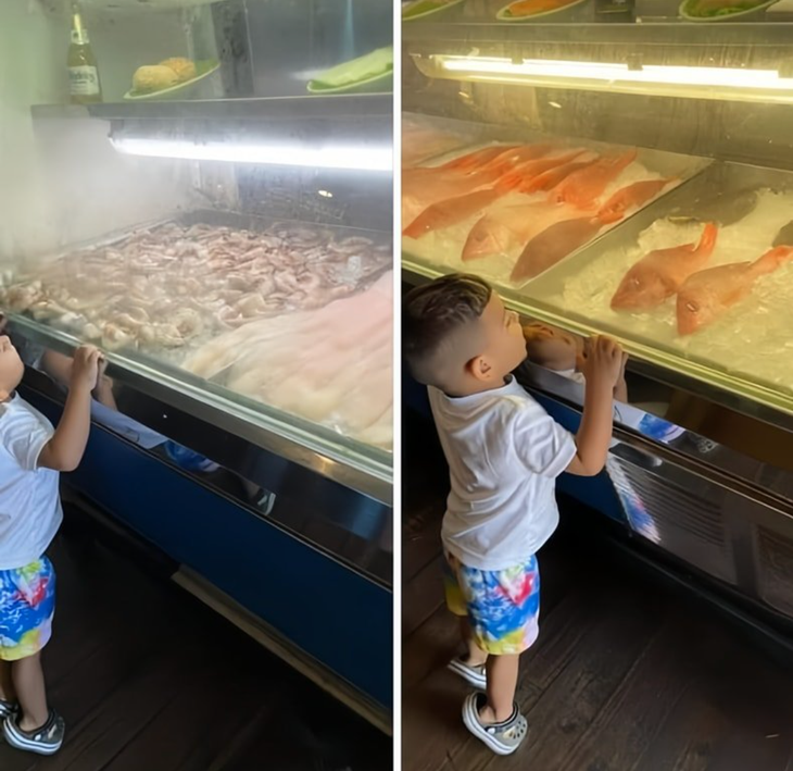 Đi thủy cung với kinh phí eo hẹp.