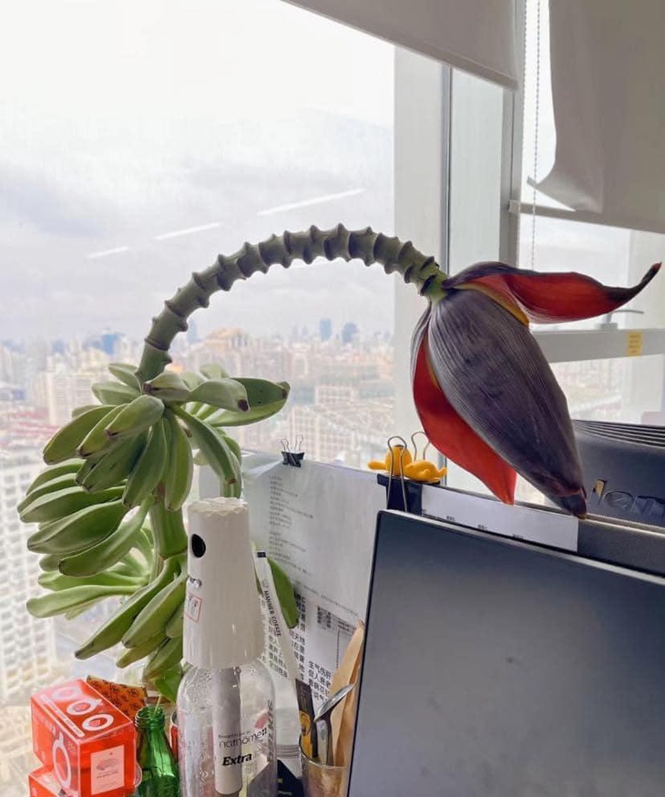 Ảnh vui 3-7: Sự lươn lẹo đến từ đứa phút trước vẫn gọi nhau là bạn thân - Ảnh 4.