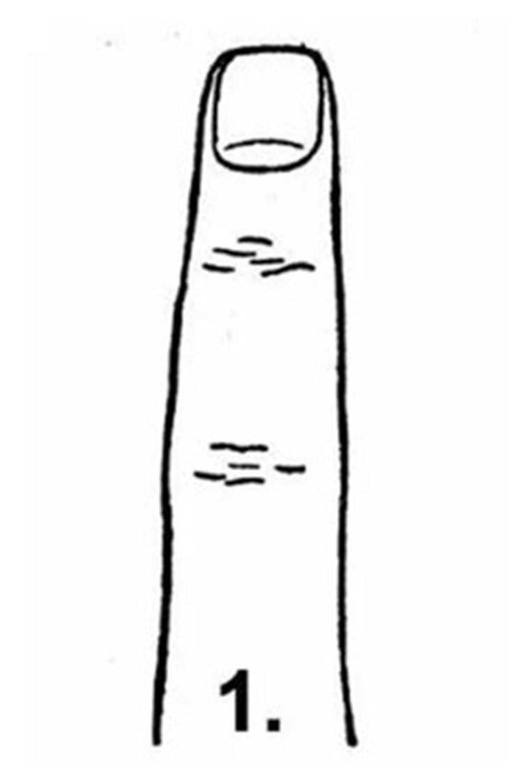 Hình dạng ngón tay nói gì về tính cách của bạn - Ảnh 1.