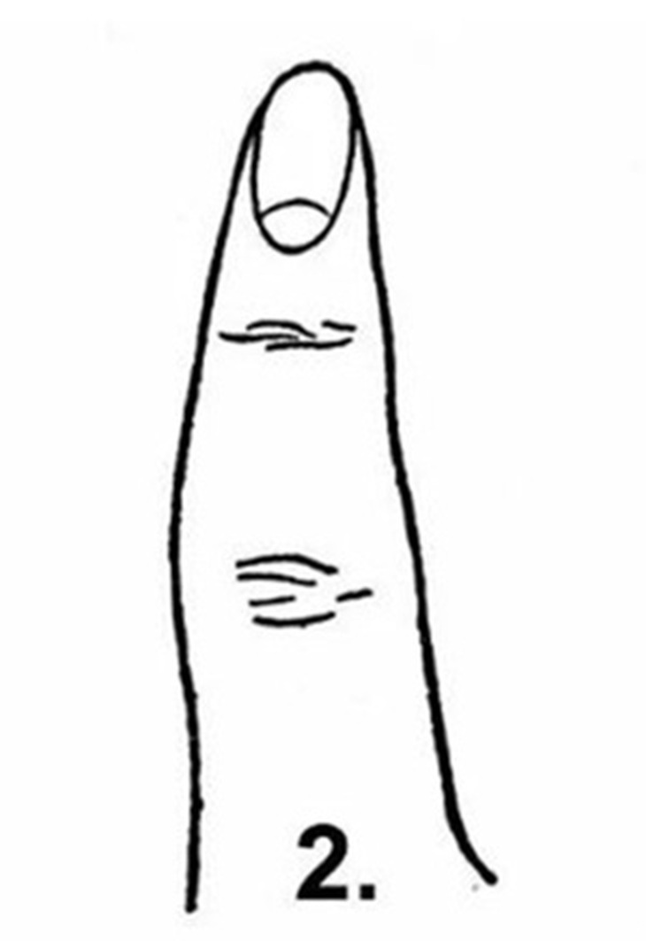 Hình dạng ngón tay nói gì về tính cách của bạn - Ảnh 1.