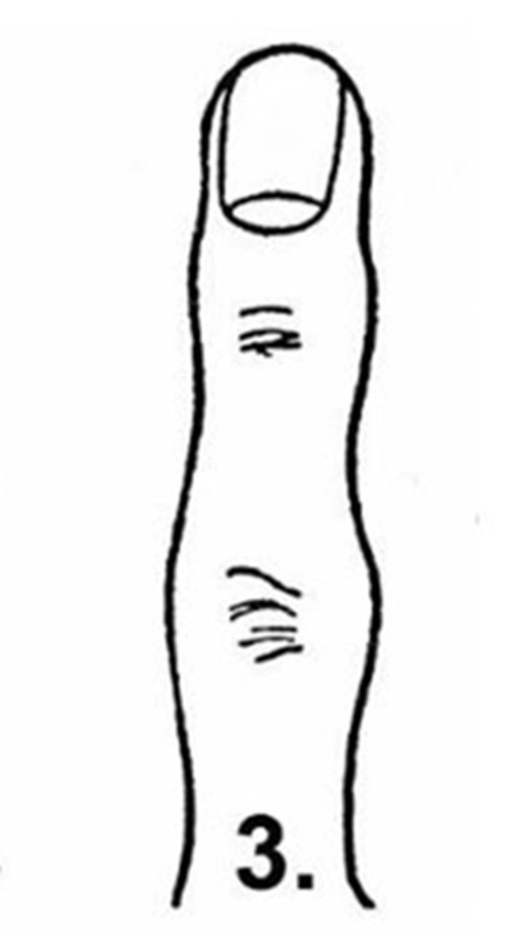 Hình dạng ngón tay nói gì về tính cách của bạn - Ảnh 1.