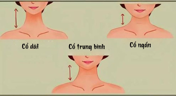 Số đo cổ tiết lộ tính cách bên trong bạn - Ảnh 1.