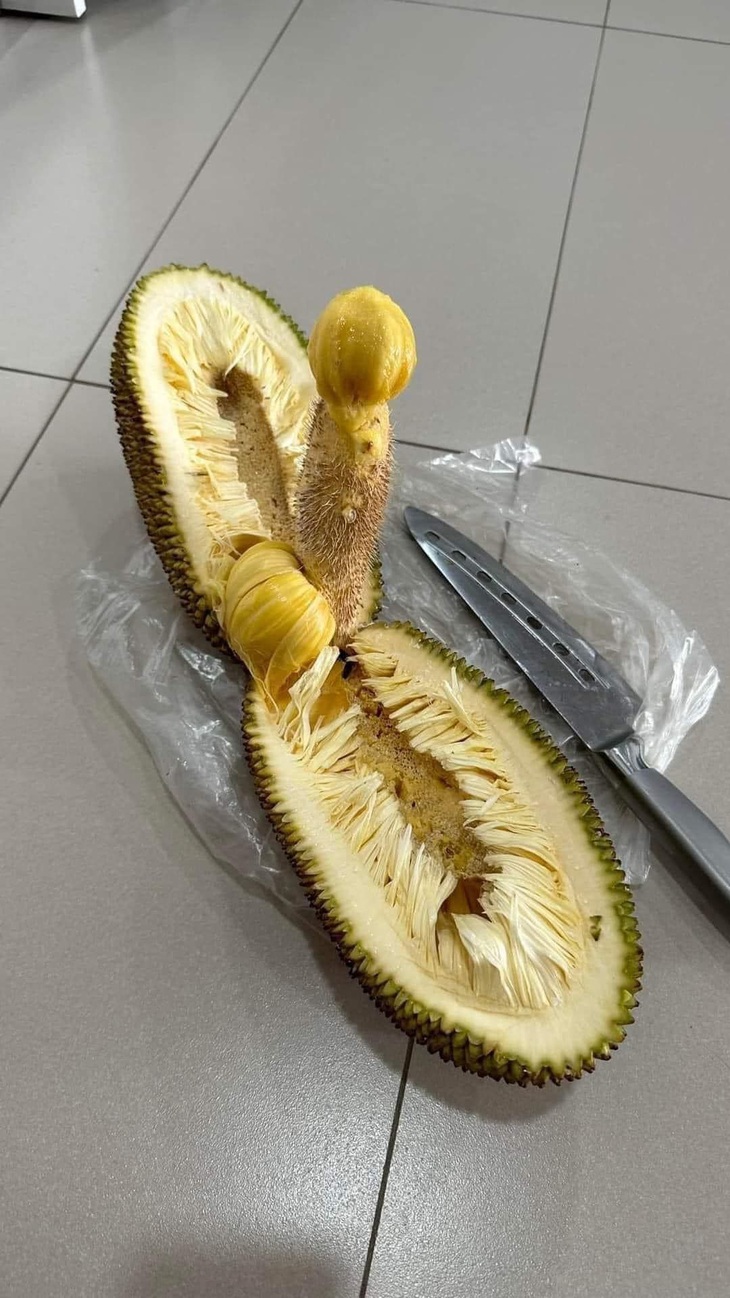 Chị bán hàng cứ bảo: "Yên tâm".