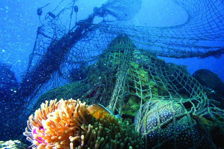 Ảnh: Aqua Images/Shutterstock