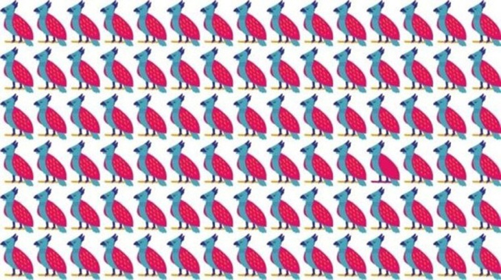 Chỉ 'mắt thần' mới thấy khuôn mặt người phụ nữ trong tranh - Ảnh 7.