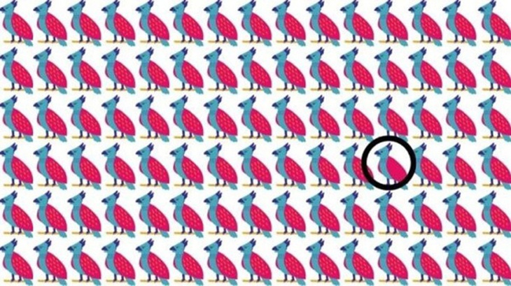 Chỉ 'mắt thần' mới thấy khuôn mặt người phụ nữ trong tranh - Ảnh 1.